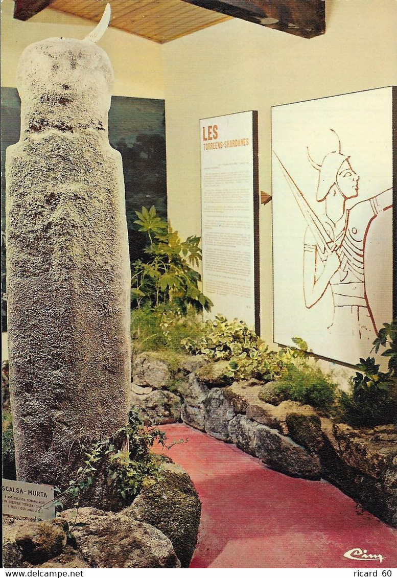 Cp Neuve, Mégalithe De Filitosa, Corse, Statues Menhirs, Guerrier Shardhane - Dolmen & Menhirs