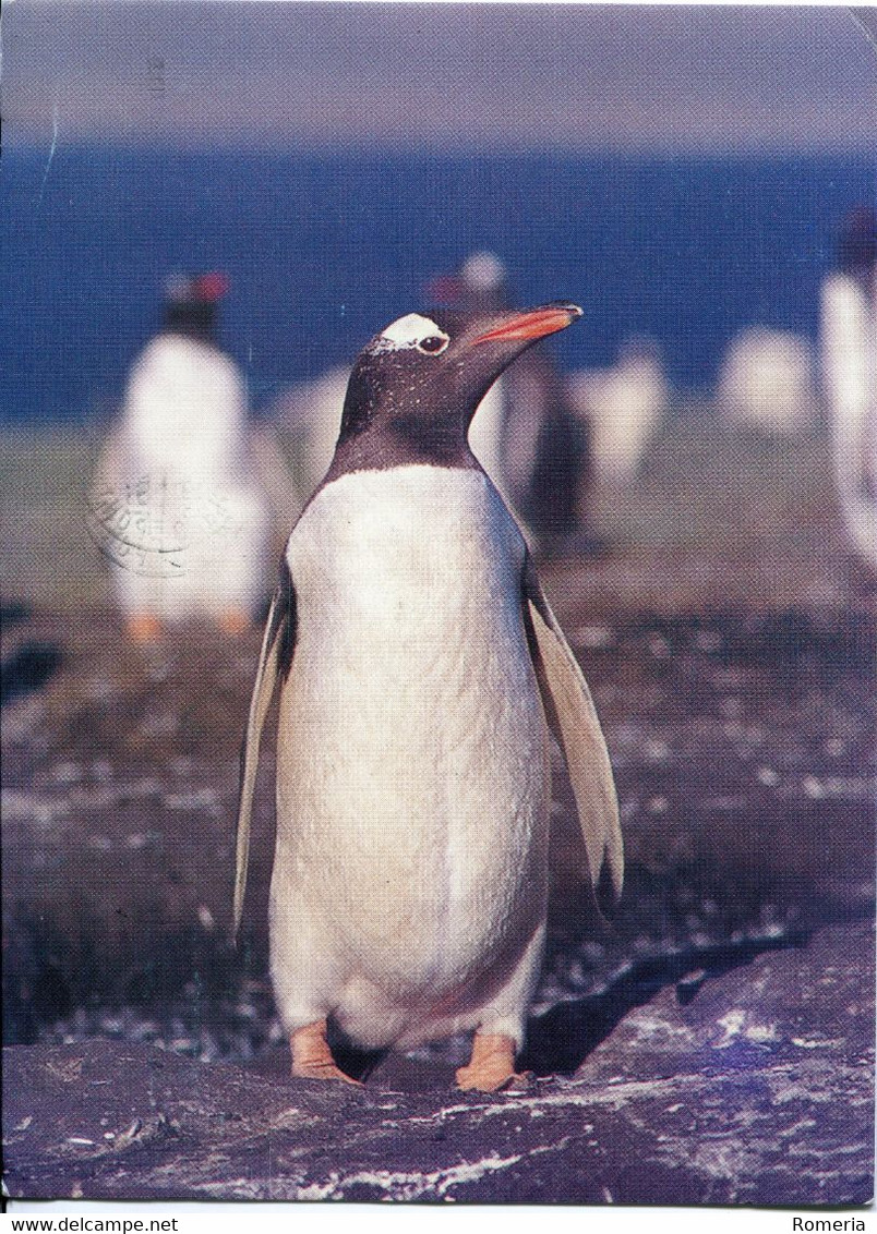 Chili - Gentoo Penguin - Ecrite, Timbrée - Chile