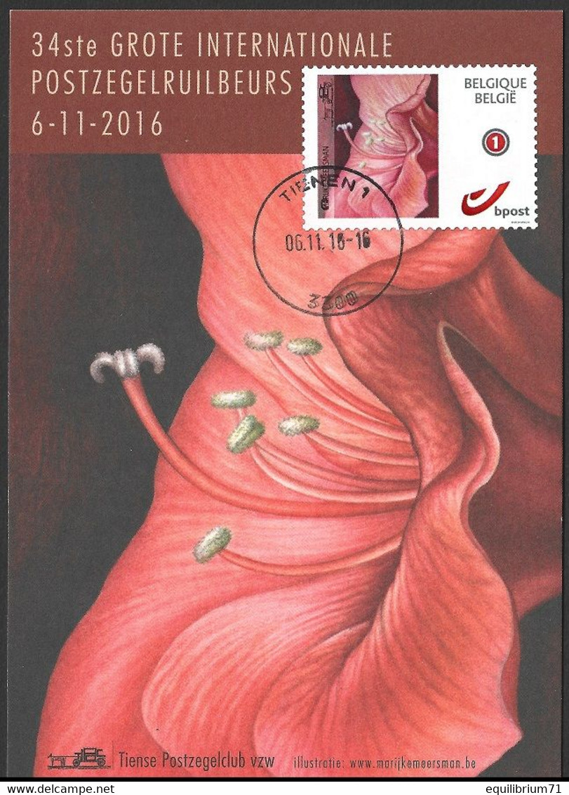 Mystamp°/Duostamp° - Carte Postale Fleur Signée /  Bloem Postkaart Getekend - Amaryllis - Marijke Meersman - 2011-..