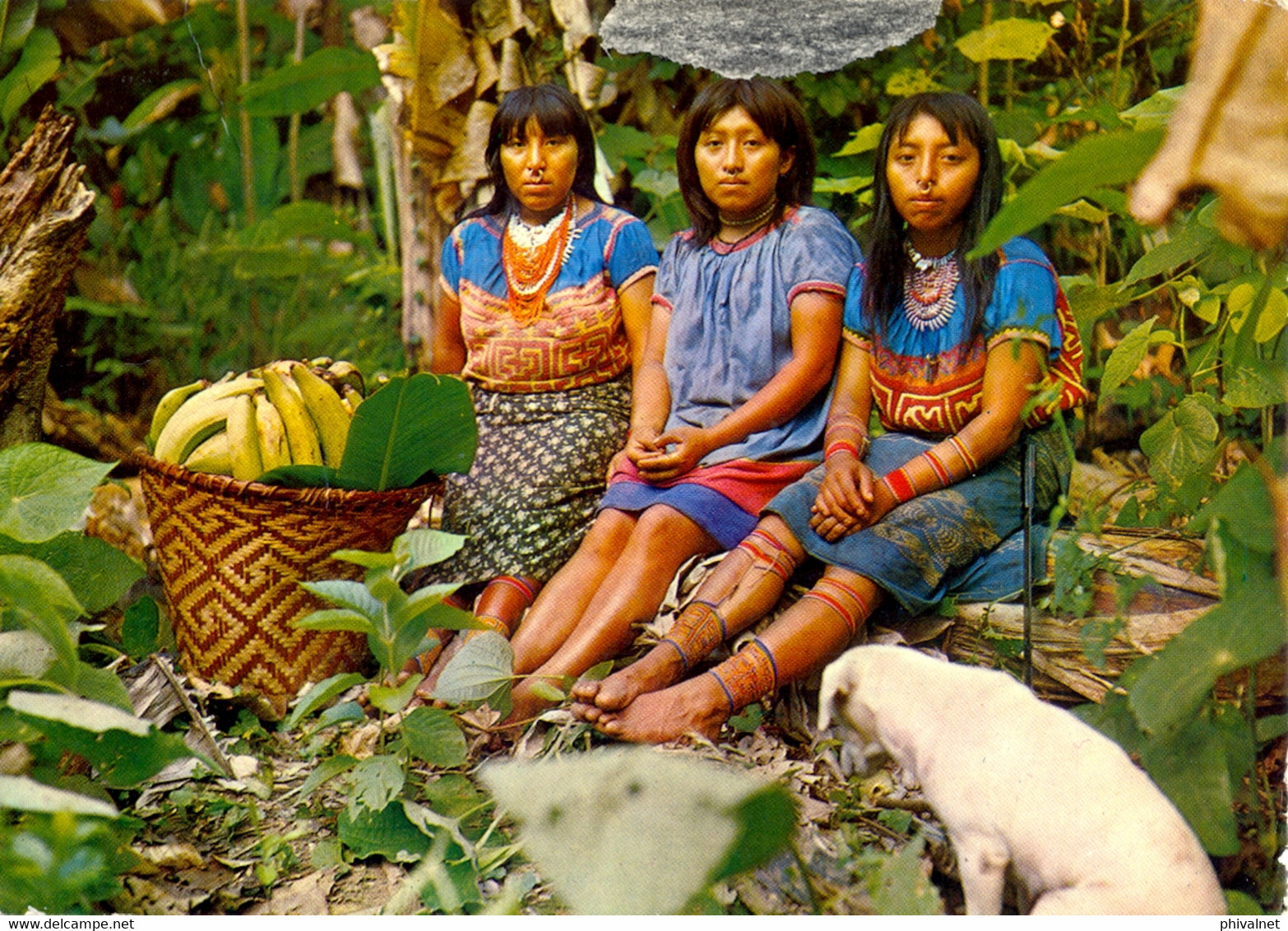 COLOMBIA , T.P. CIRCULADA , CHOCO - GRUPO DE MUCHACHAS INDÍGENAS DEL CHOCÓ EN SUS TRAJES TÍPICOS - Colombia