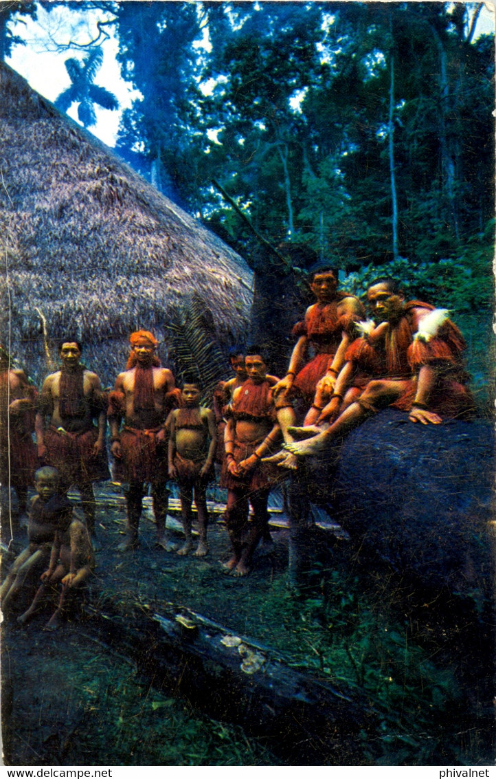 COLOMBIA , T.P. CIRCULADA , AMAZONAS - INDIOS YAGUAS - Colombia