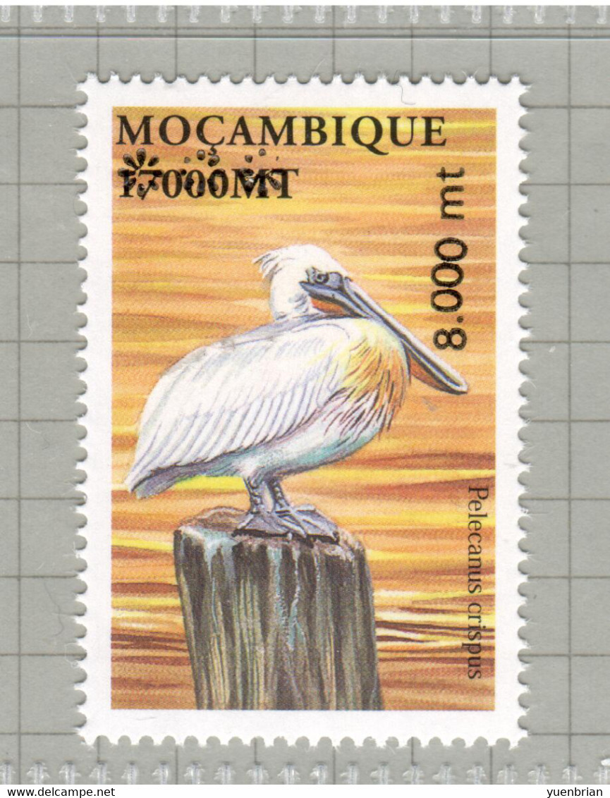 Mozambique 2005, Bird, Birds, Surcharge On 2002, MNH** - Pélicans