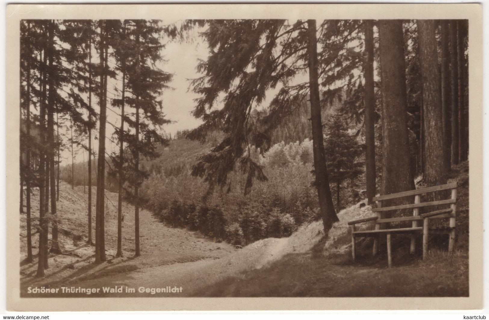 Schöner Thüringer Wald Im Gegenlicht - (DDR) - Höhenort Neustadt A. Rstg. - Neustadt / Orla