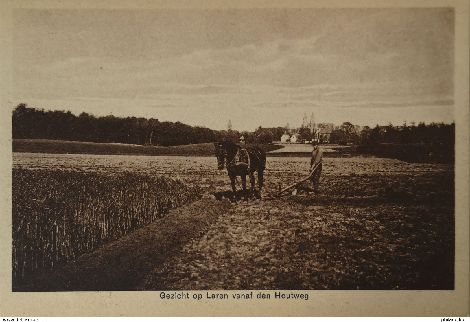 Laren (NH) Gezicht Op Laren V/a Den Houtweg (Landleven - Ploegen) 19?? - Laren (NH)