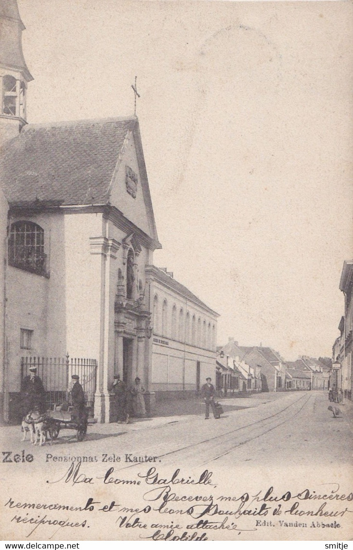 ZELE 1904 PENSIONNAT ZELE KANTER EN HONDENKAR / ATTELAGE DE CHIEN - Zele