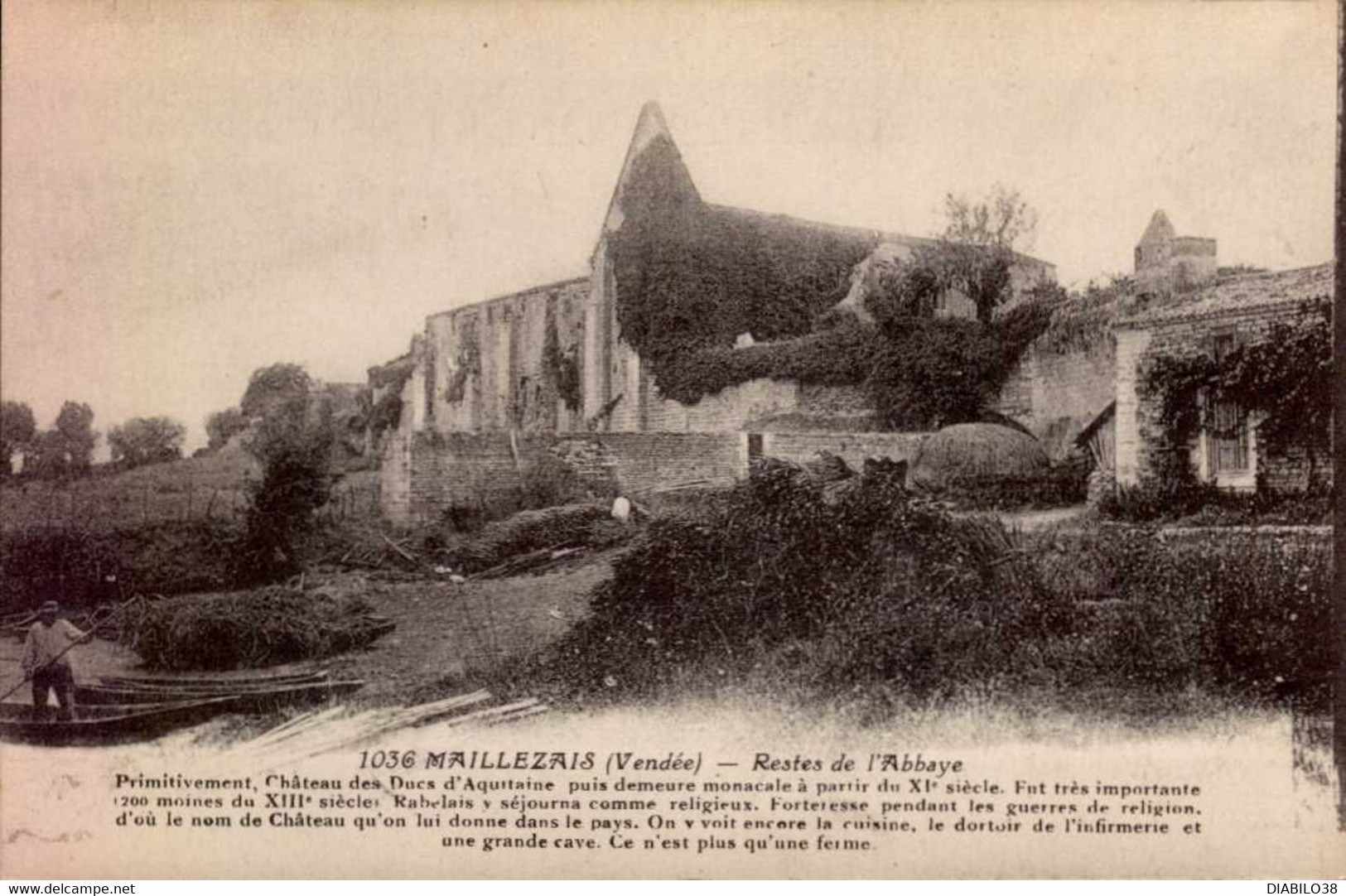 MAILLEZAIS  ( VENDEE )     RESTES DE  L ' ABBAYE - Maillezais