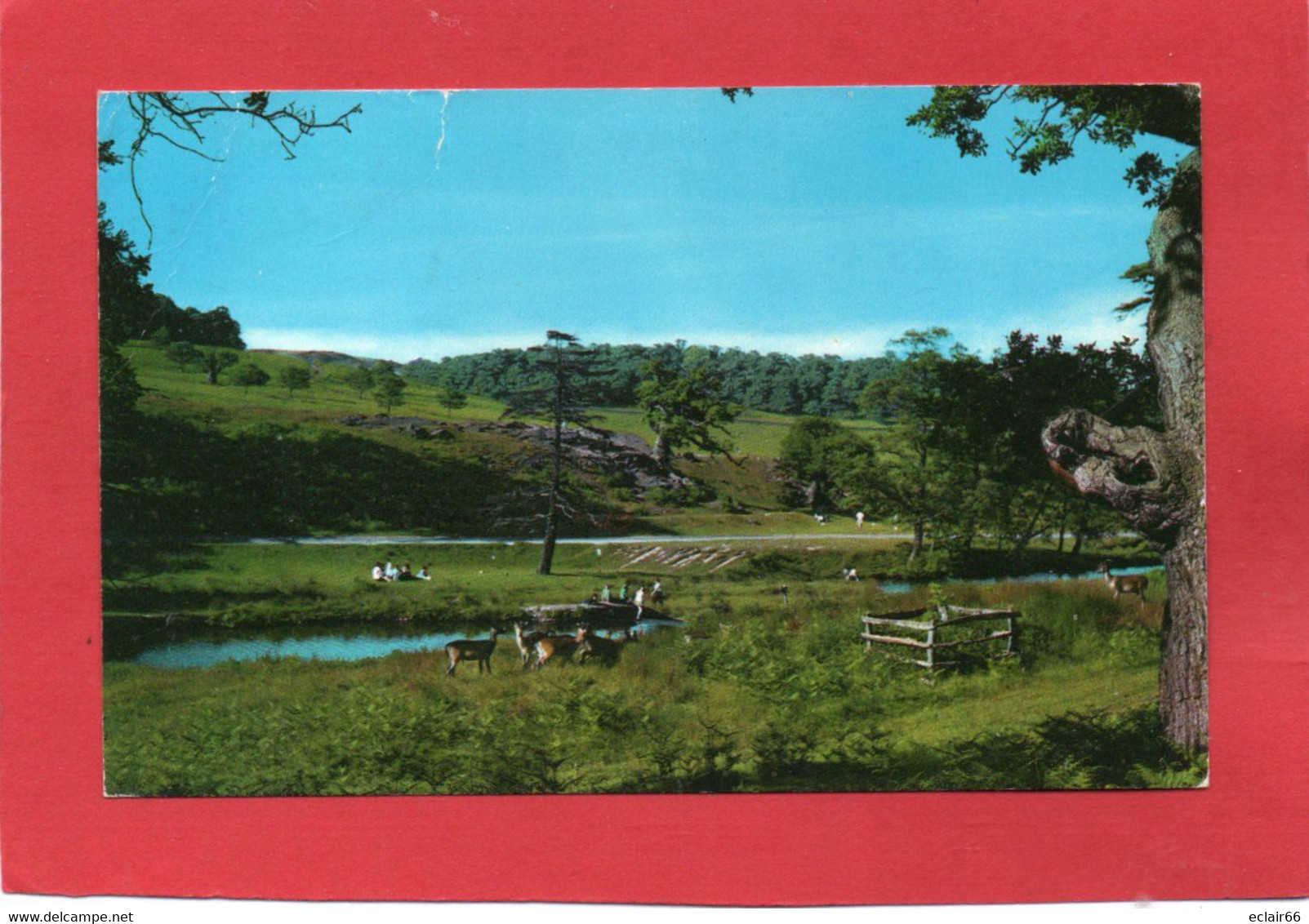 Leics »,  Comté D'Angleterre Situé Au Cœur Des Midlands. Il Est Entouré Par Le Nottinghamshire,CPM 1980 - Middlesex