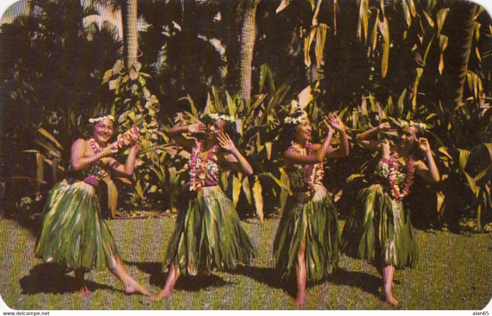 Honolulu Hawaii, Hula Dancers 'The Cock-eyed Mayor Of Kaunakakai' Song, C1950s/60s Vintage Postcard - Honolulu