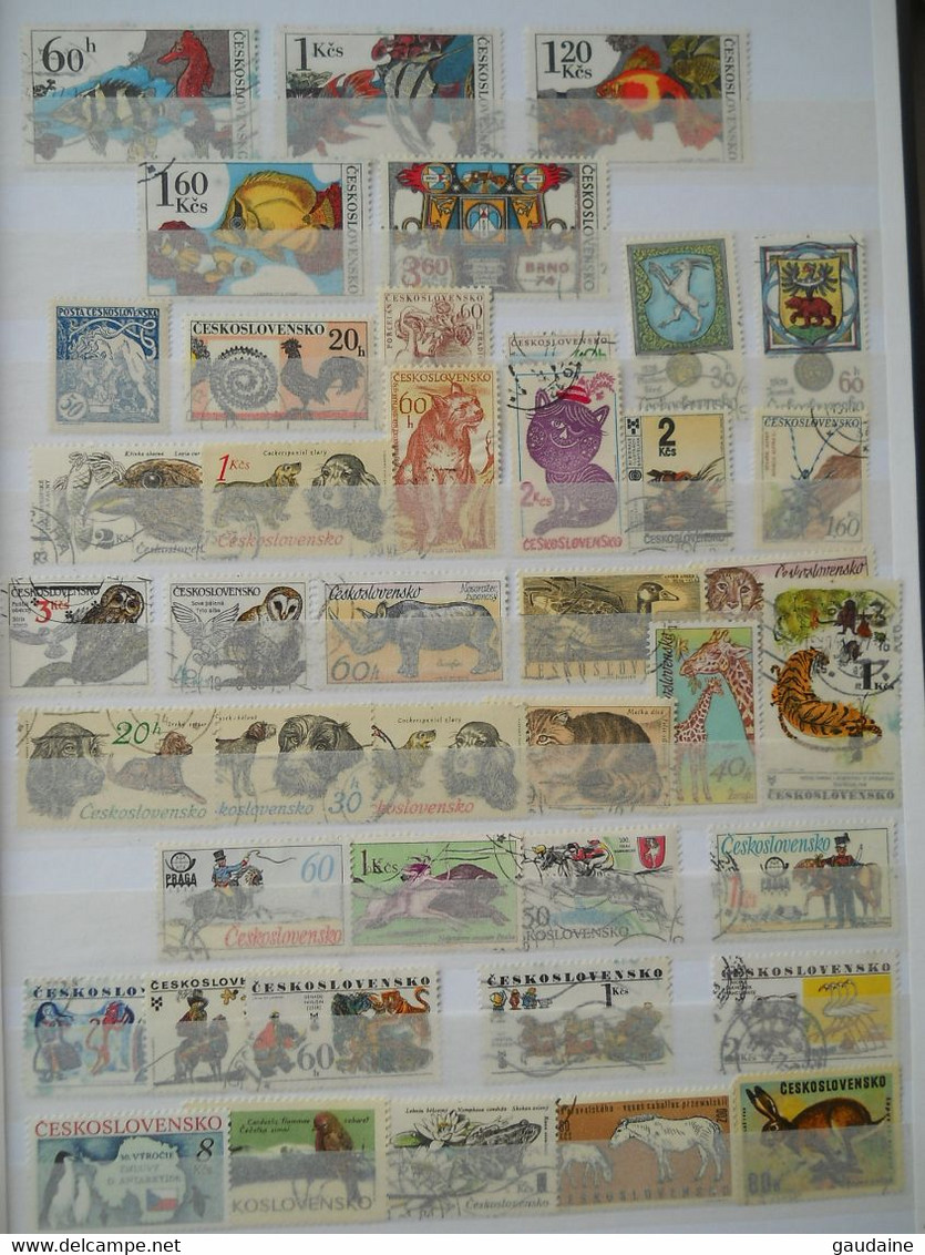 TCHECOSLOVAQUIE CESKOSLOVENSKO - LOT DE 730 TIMBRES DIFFERENTS - SET - COLLECTION