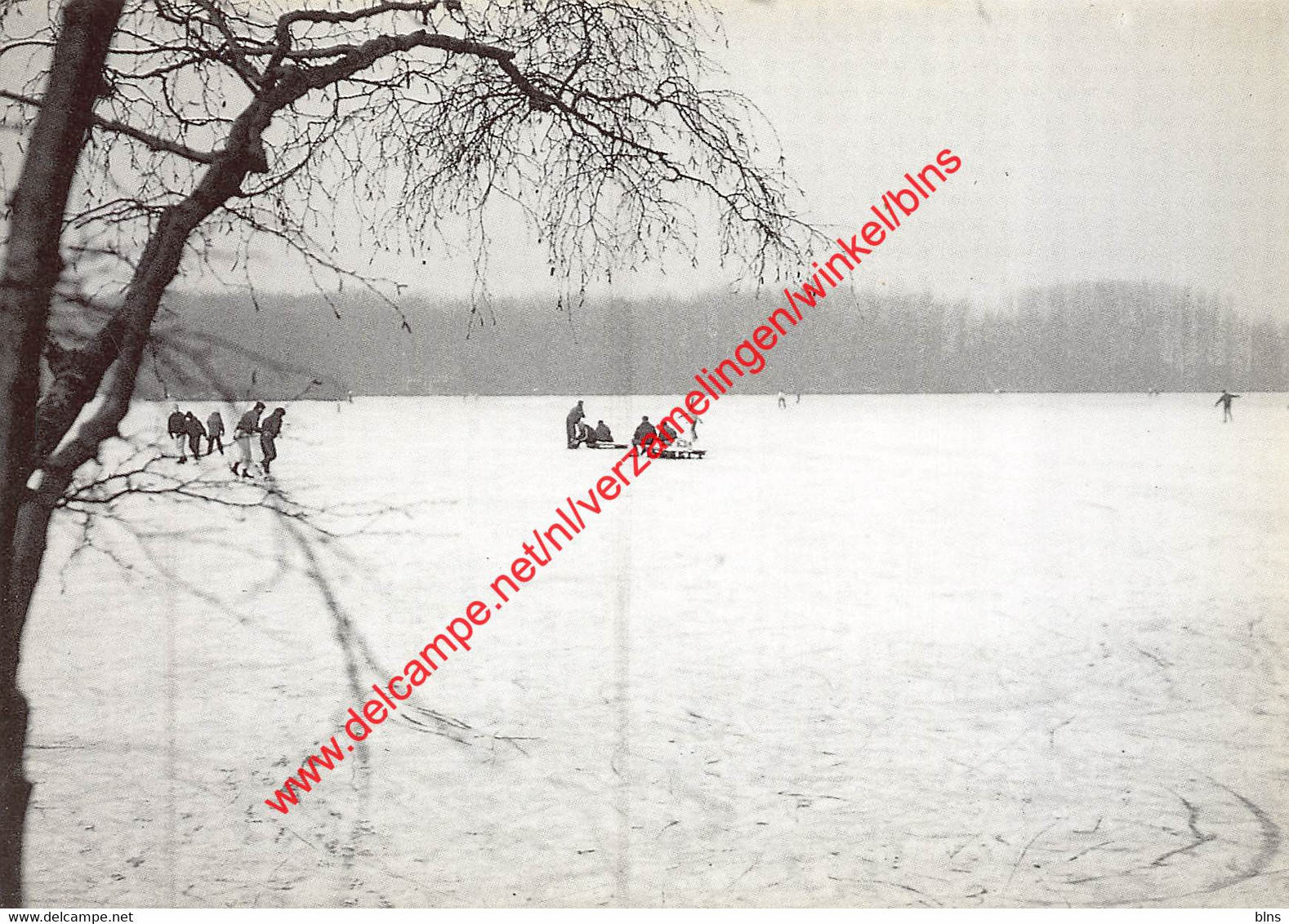 Winterpret Op De Kraenepoel - Bulskampveld - Bellem - Aalter