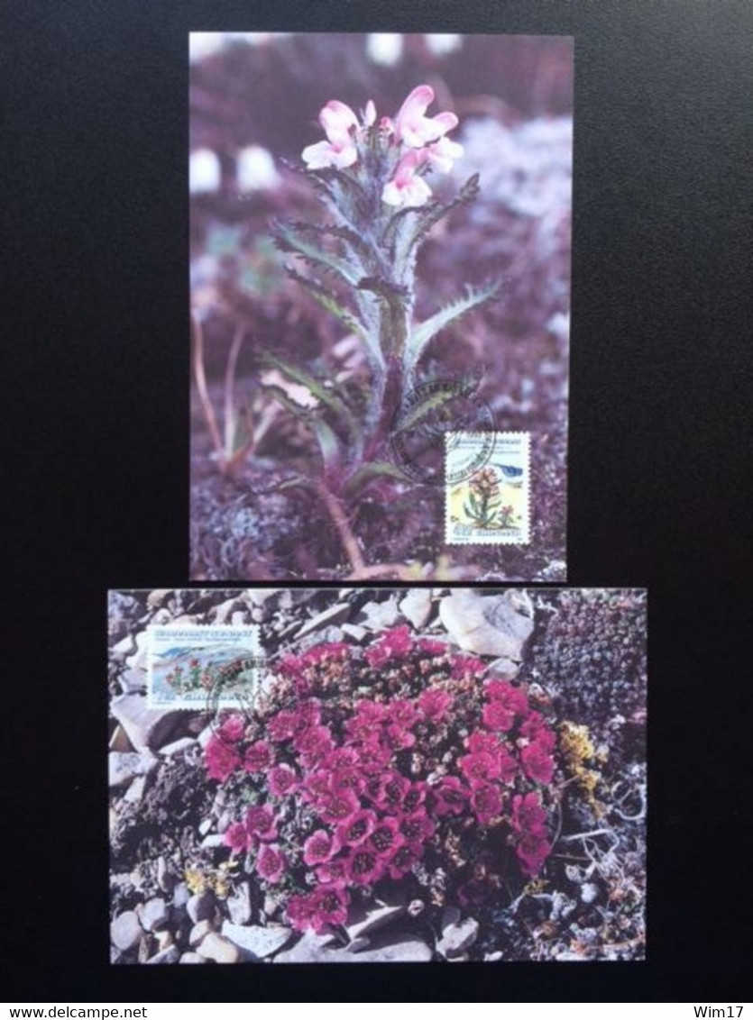 GREENLAND 1992 FLOWERS MAXIMUM CARD MI 223/24 GRONLAND GROENLAND BLOEMEN - Maximum Cards