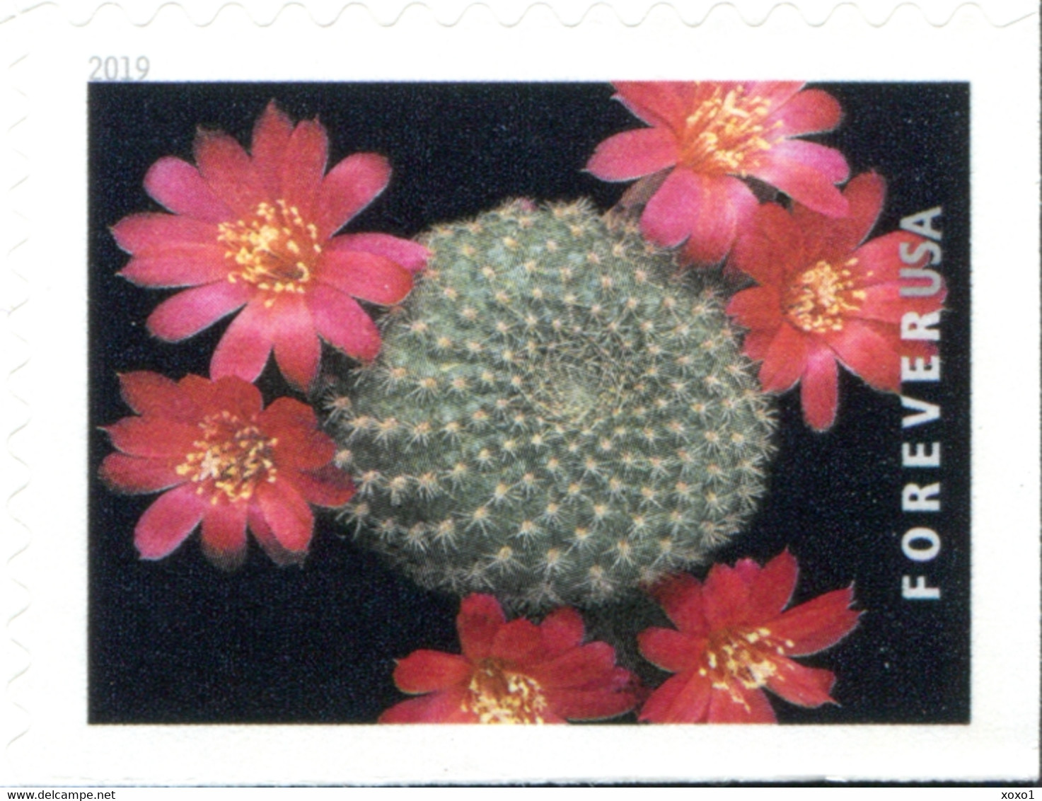 USA 2019 MiNr. 5566 - 5575  Cactus Flowers Plants  20v MNH** 26,00 € - Sukkulenten