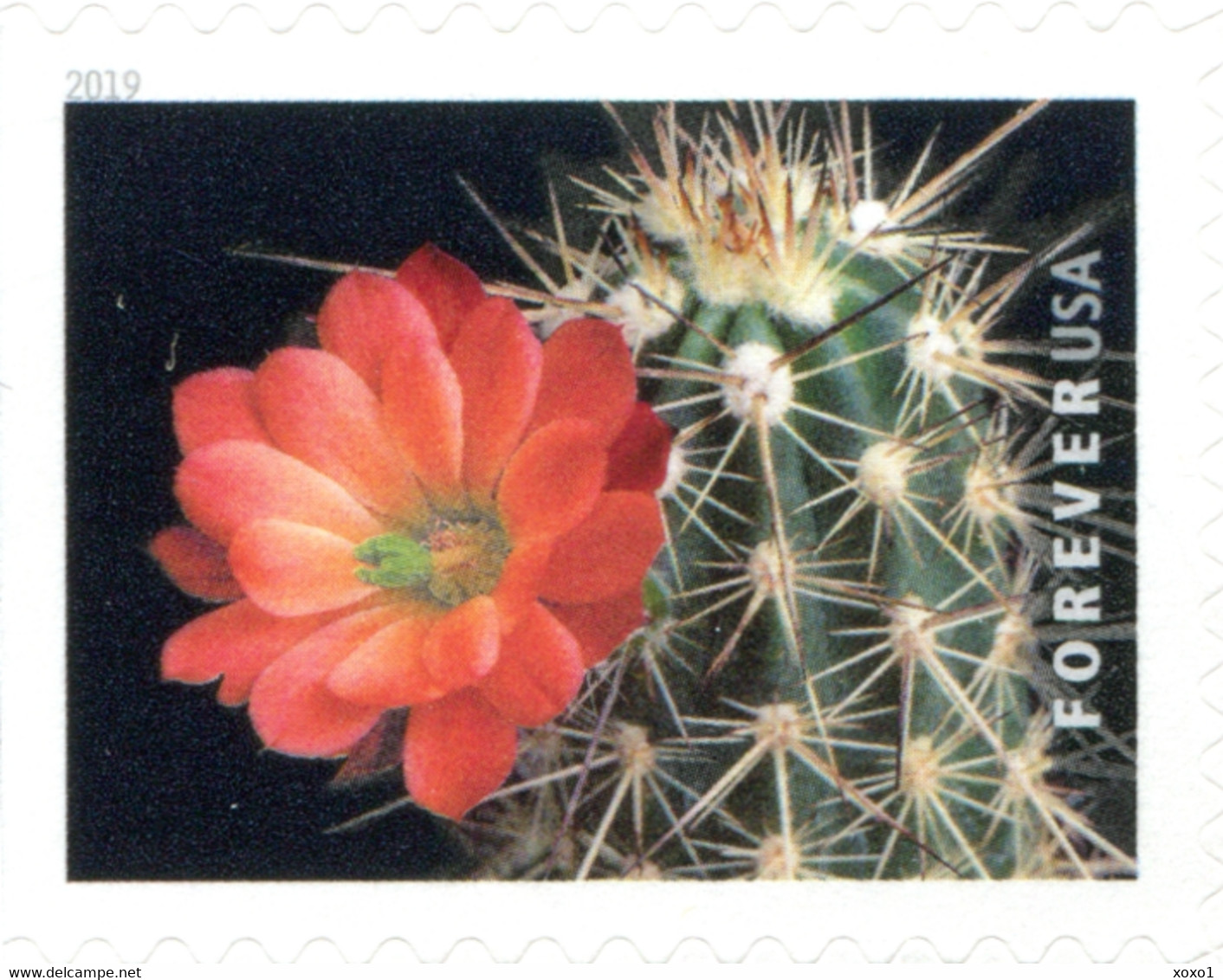 USA 2019 MiNr. 5566 - 5575  Cactus Flowers Plants  20v MNH** 26,00 €