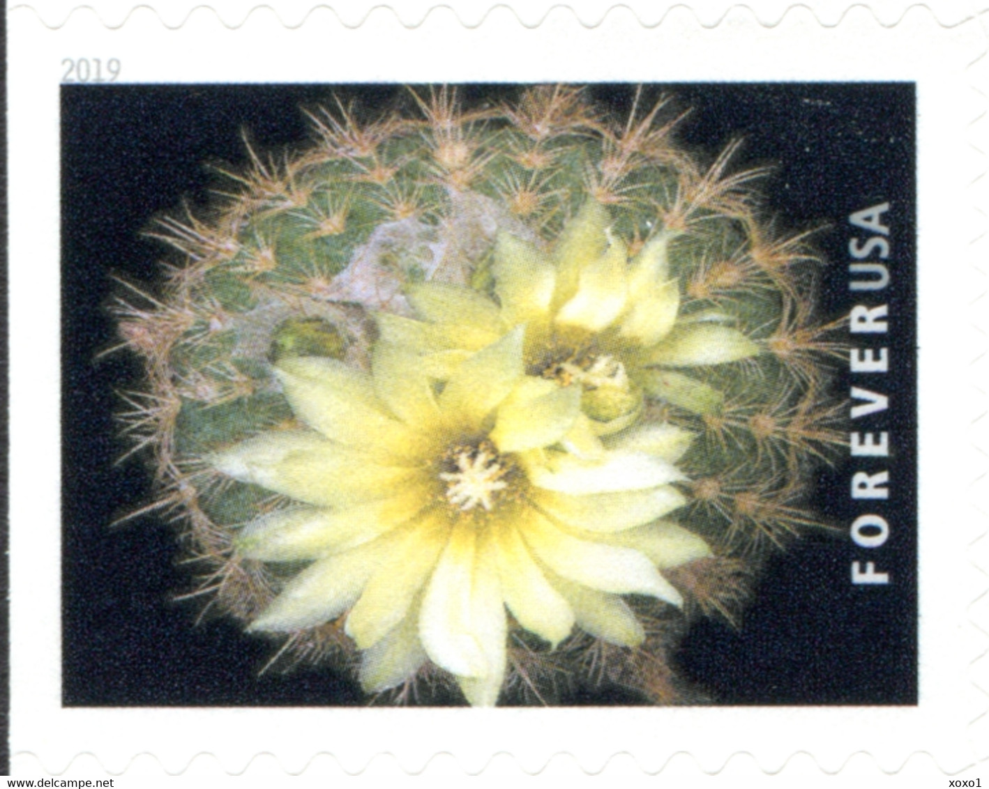 USA 2019 MiNr. 5566 - 5575  Cactus Flowers Plants  20v MNH** 26,00 €