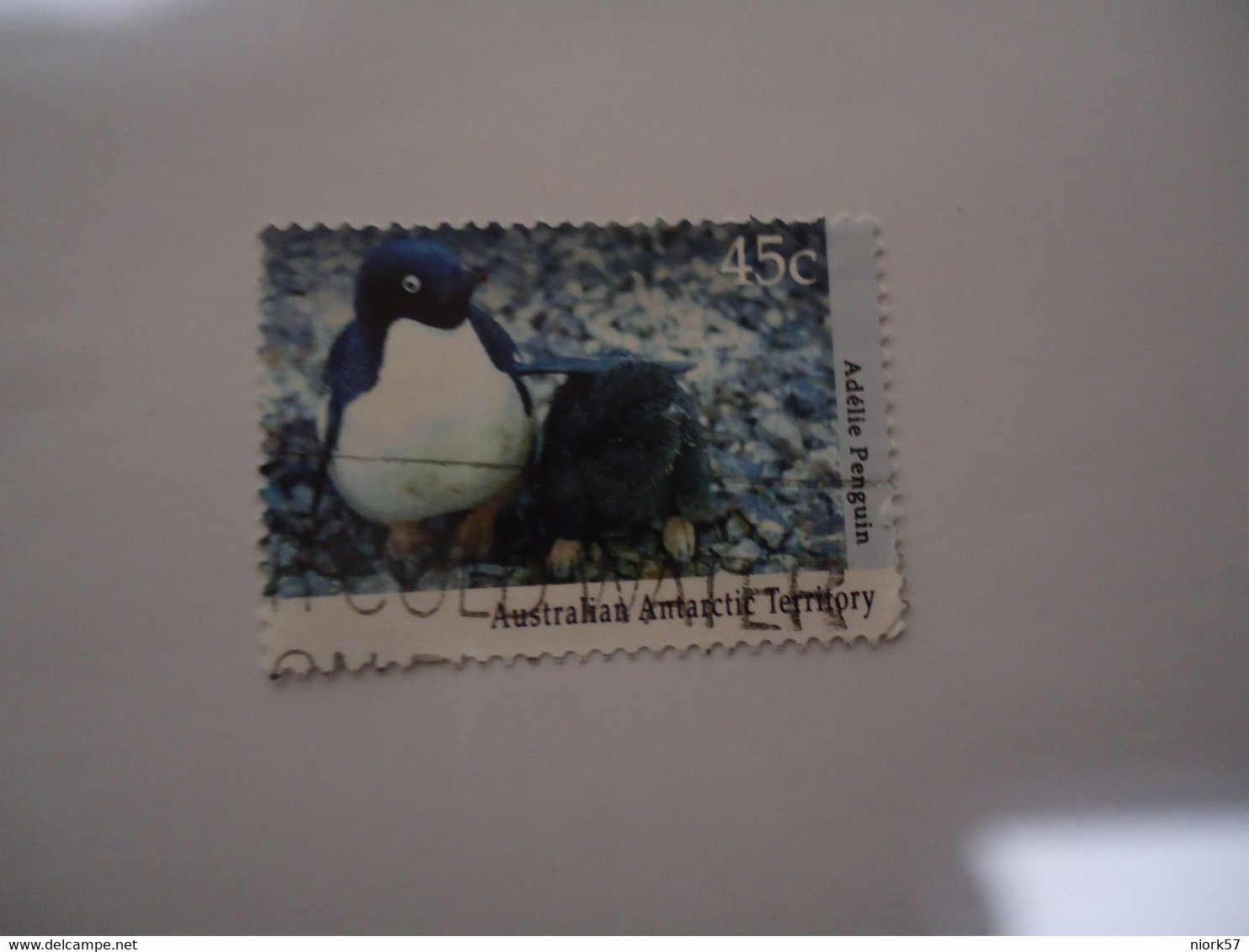 AUSTRALIA ANTARCTIC  USED STAMPS  POLAR  PENGUINS - Other & Unclassified