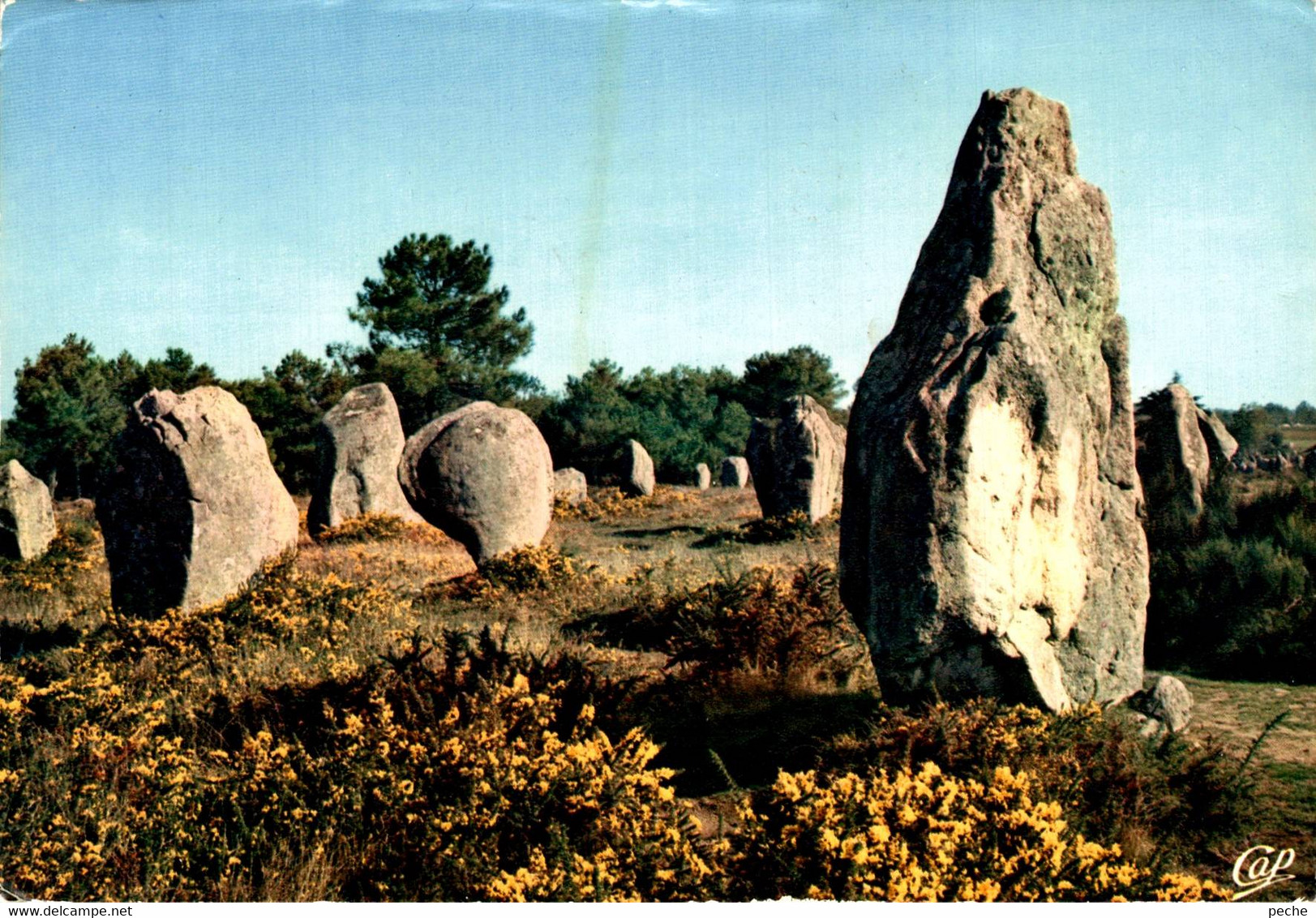 N°91096 -cpsm Carnac -alignements De Menhirs- - Dolmen & Menhirs
