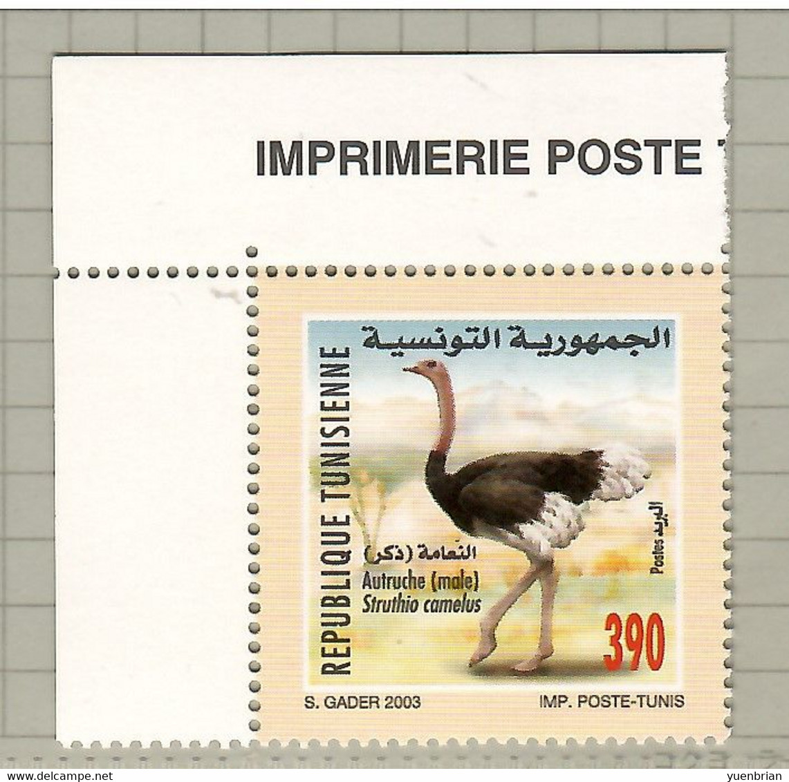 Tunisia 2003, Bird, Birds, Ostrich, 1v, MNH** (Split From Set Of 6v) - Autruches