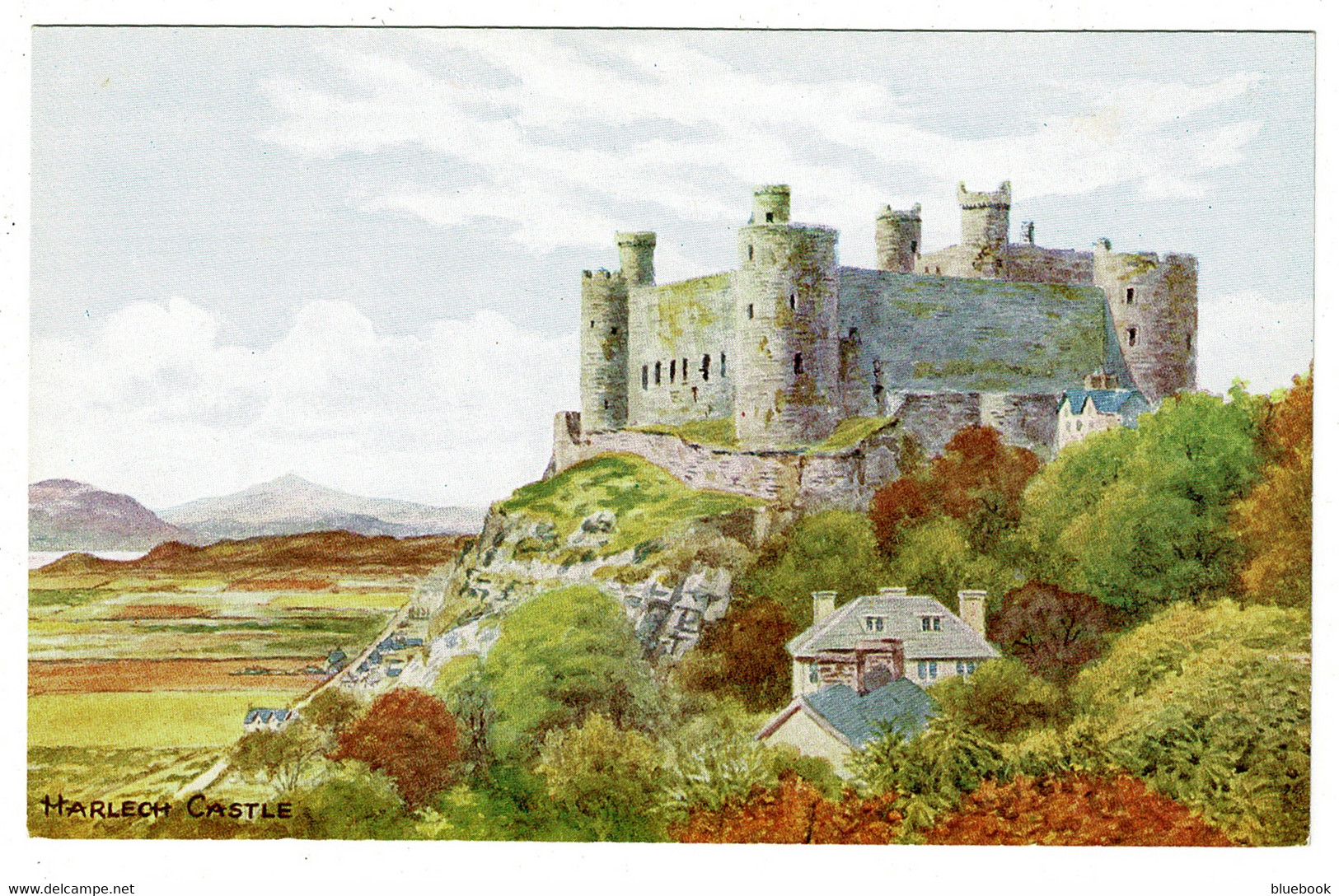 Ref 1533 - J. Salmon Postcard - Harlech Castle - Merionethshire Wales - Merionethshire