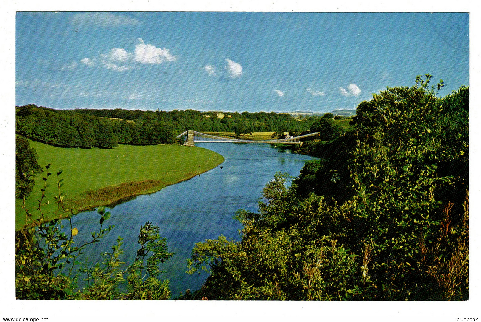 Ref 1534 - Postcard - Chain Bridge Horncliffe - Berwick-upon-Tweed Scotland - Berwickshire