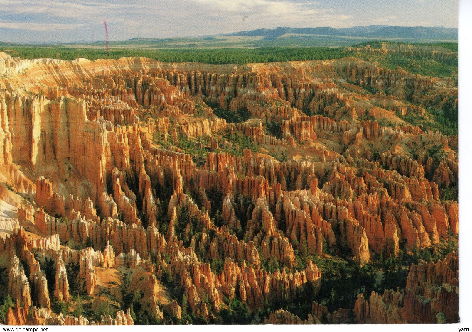 The Bryce Canyon (viaggiata 1990) - Bryce Canyon