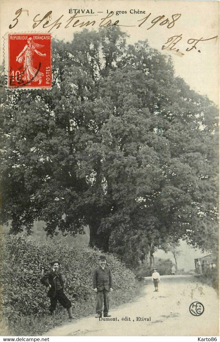 étival * Route Et Vue Sur Le Gros Chêne * Arbre - Etival Clairefontaine