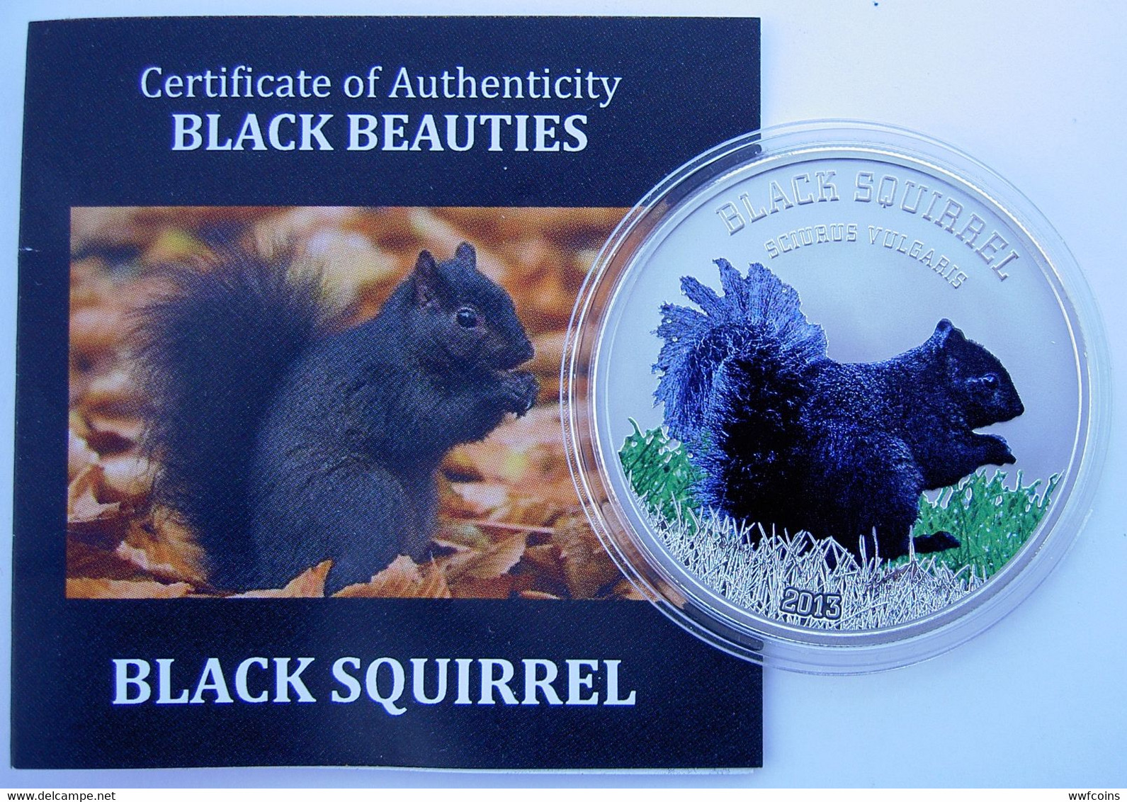 COOK ISLANDS 5 $ 2013 ARGENTO SILVER BLACK SQUIRREL BEAUTIES SCOIATTOLO MINTAGE 999 PCS PESO 20g TITOLO 0,925 CONSERVAZI - Cook Islands