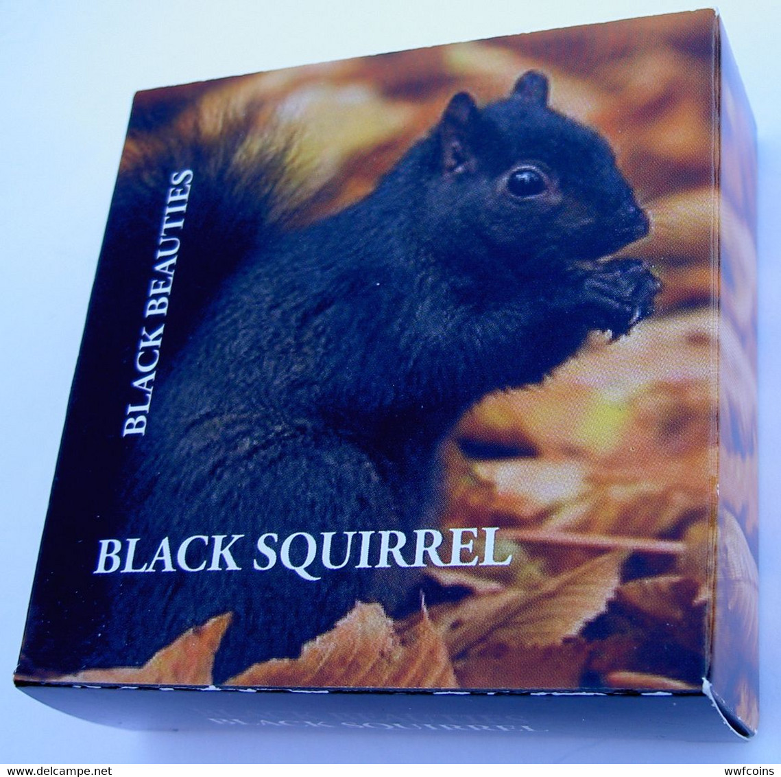 COOK ISLANDS 5 $ 2013 ARGENTO SILVER BLACK SQUIRREL BEAUTIES SCOIATTOLO MINTAGE 999 PCS PESO 20g TITOLO 0,925 CONSERVAZI - Islas Cook