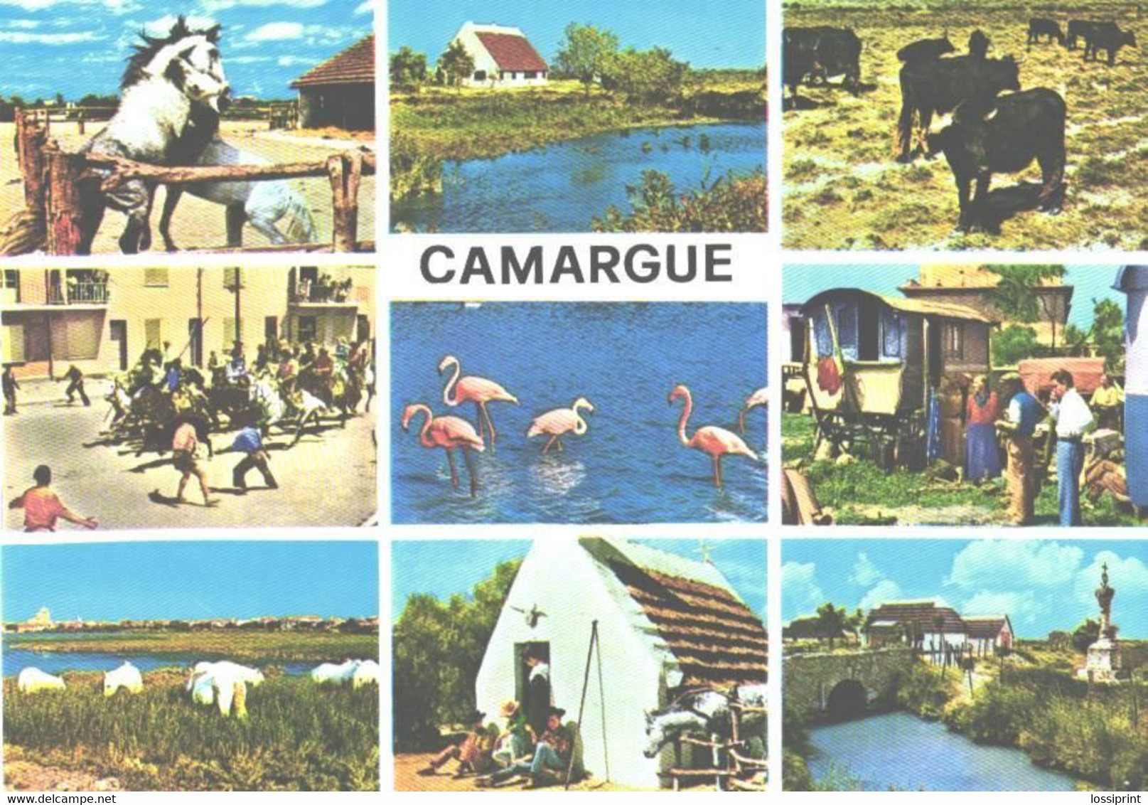 France:Camargue Views, Ethnic Villages - Europe