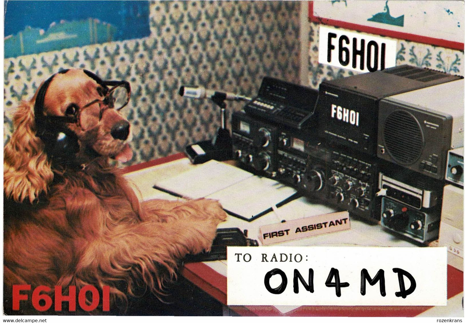 QSL Card Amateur Radio Funkkarte 1982 France Beziers Marcel Lhotellier Chien Dog Hond Hund - Amateurfunk