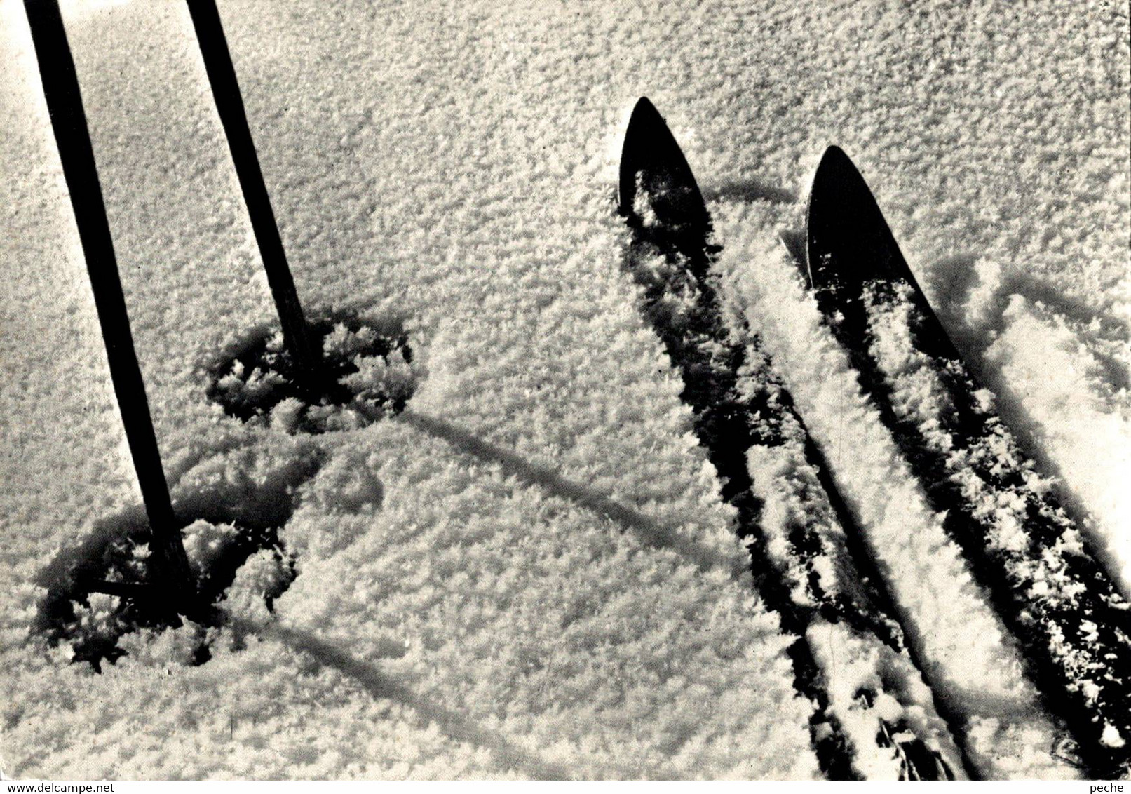 N°91129 -cpsm Neige , Ski, Baton De Ski - Sports D'hiver