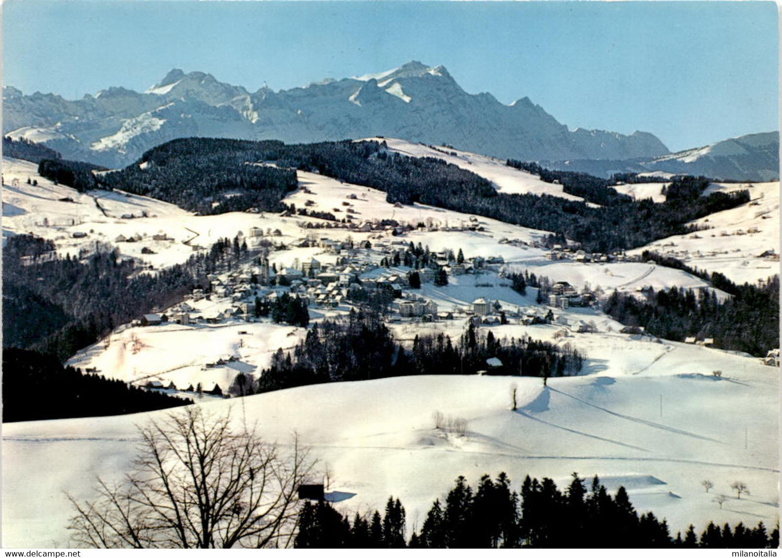 Trogen AR Mit Pestalozzidorf, Altmann Und Säntis (37153) * 7. 1. 1993 - Trogen