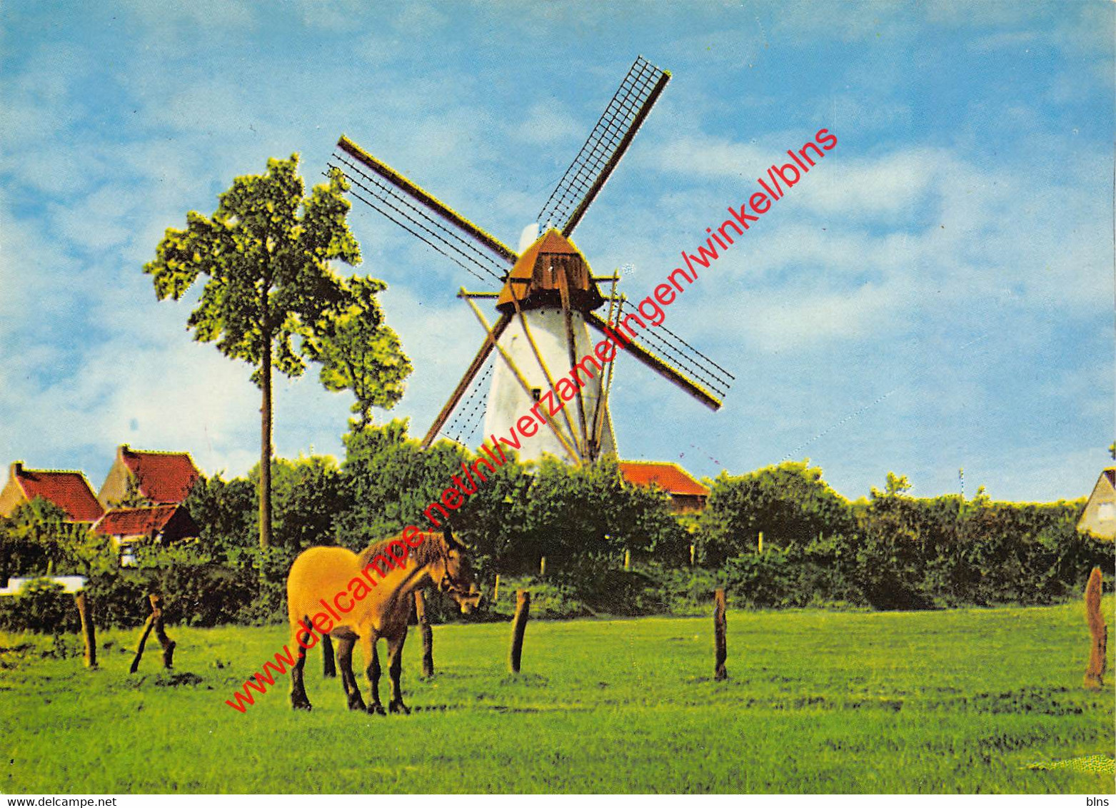 Molen - Ezaart - Mol - Mol