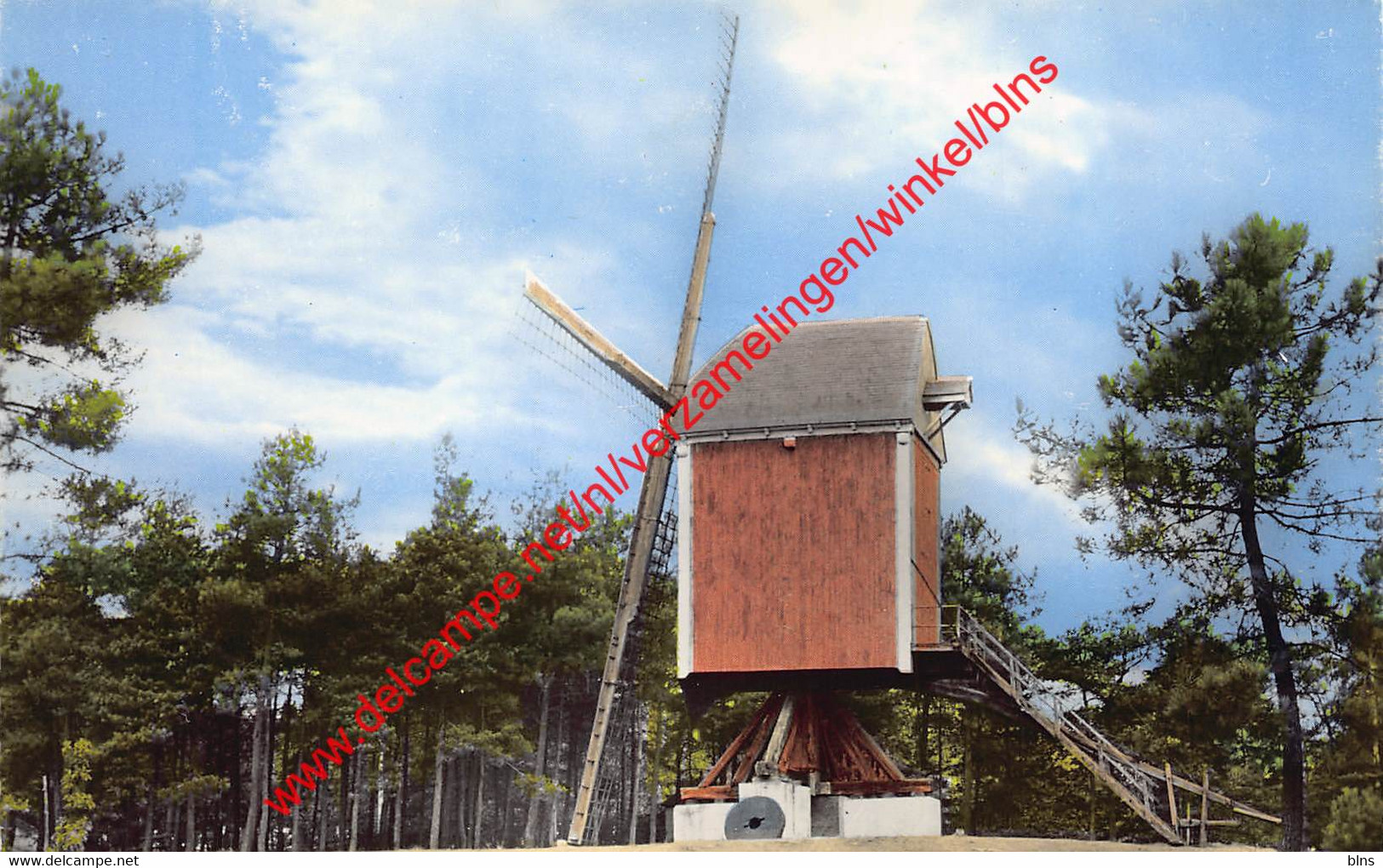 Standaard Molen - Kasterlee - Kasterlee