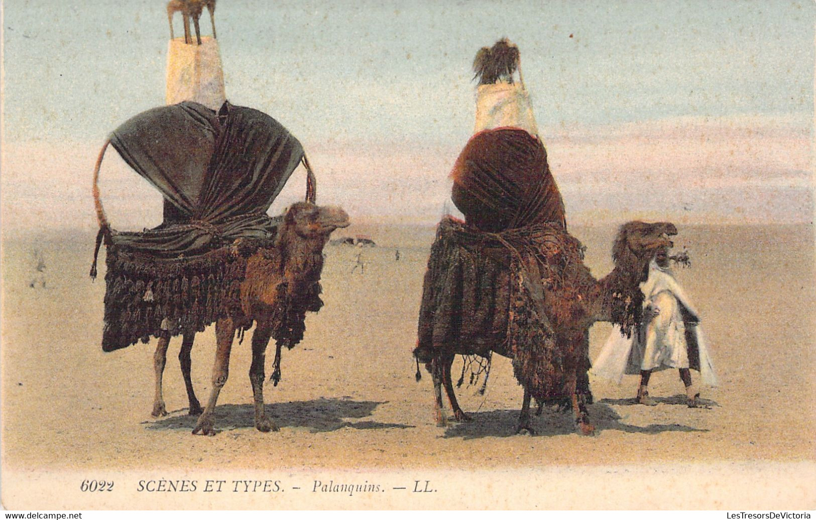 Scènes Et Types 6022 - Palaquins - Chameaux Et Plumes D'autruches - SAHARA - Non Voyagée - Scènes & Types