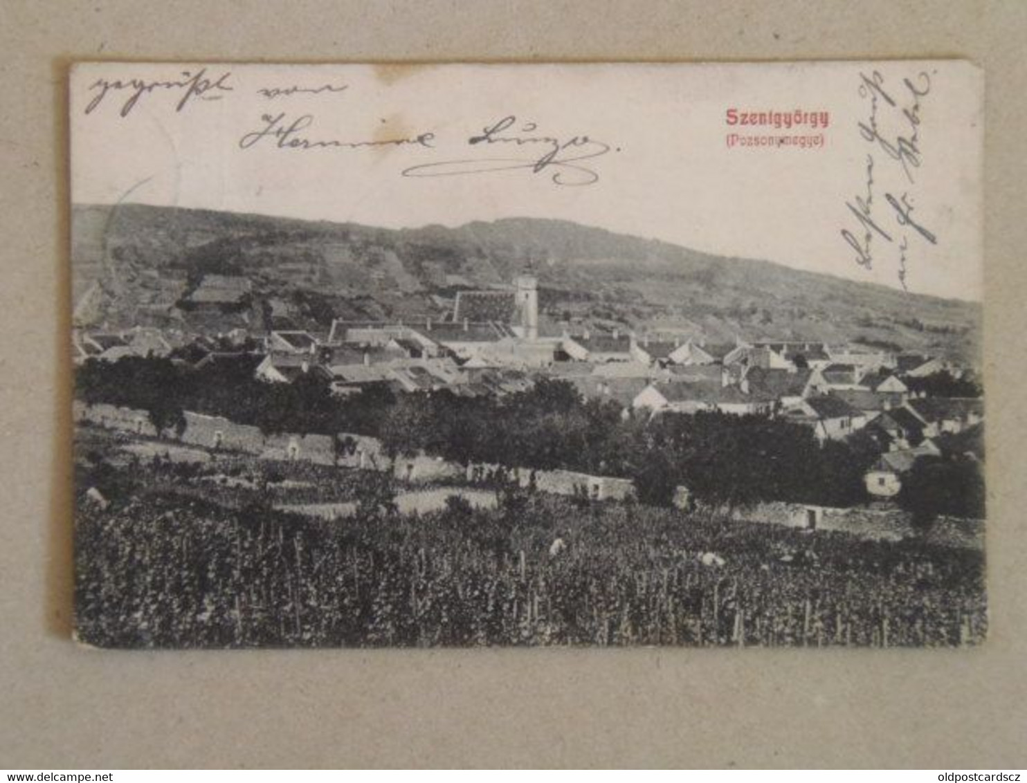 Szentgyorgy Svati Jur Bratislava Pressburg Pozsony 1910 No Renewal Only 1 Week Auction Postcard In Commission - Slowakei