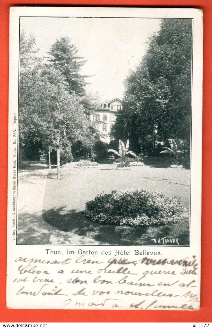 NAH-35  Thun Garten Hotel Bellevue.  GElaufen 1921 Nach Tramelan. - Tramelan