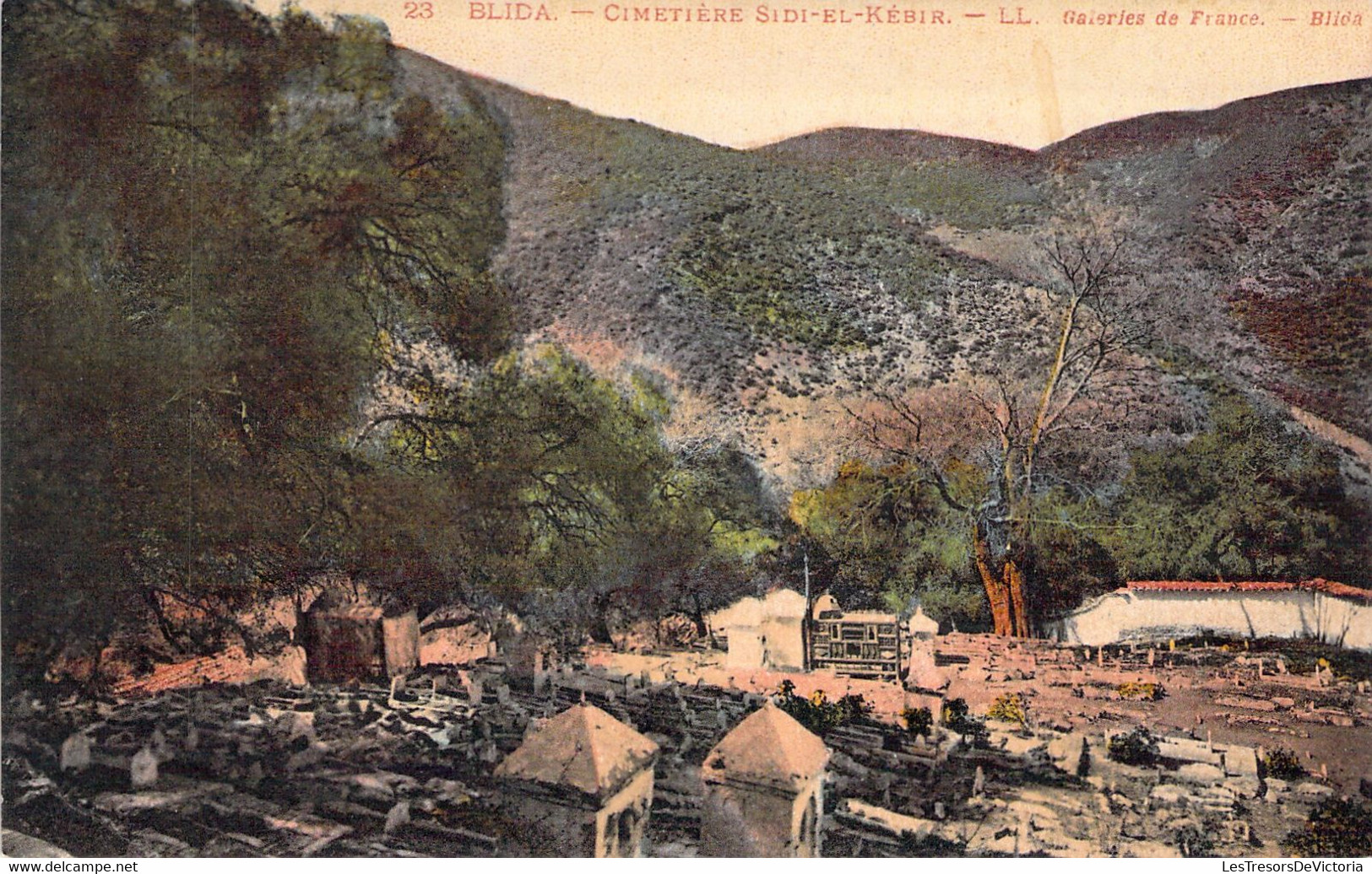 Blida - Cimetière Sidi El Kébir - Galeries De France - Blida