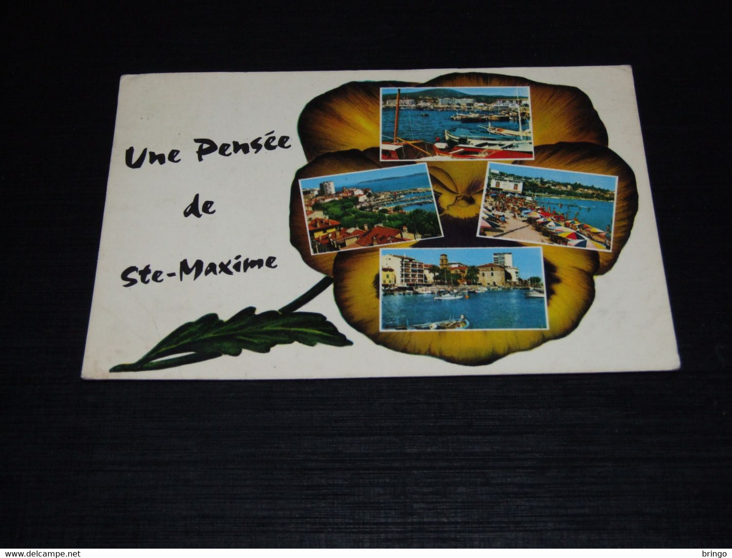43000-                      SAINTE MAXIME, VAR - Sainte-Maxime