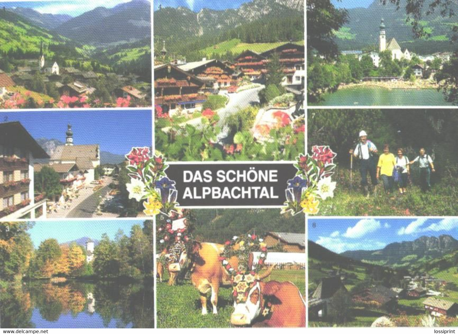 Austria:Tirol Mountains, Cows, Typical Views - Europe