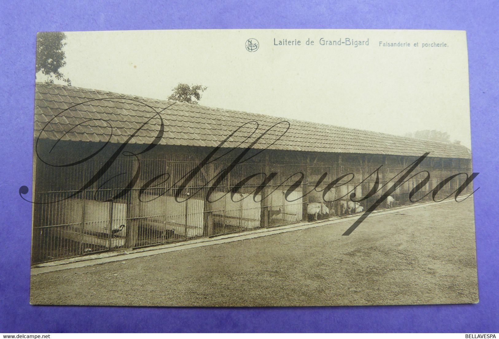 Groot Bijgaarden Laiterie Falsanderie Et Porcherie - Dilbeek