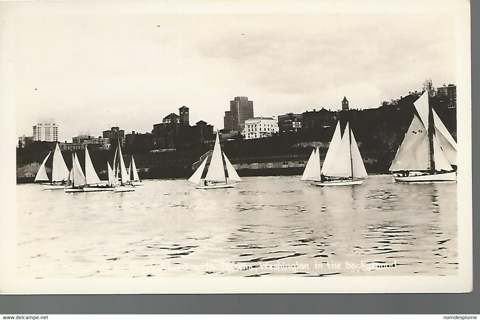 59074 ) USA Sailboats Puget Sound Tacoma Wa Real Photo Post Card RPPC Undivided Back - Tacoma