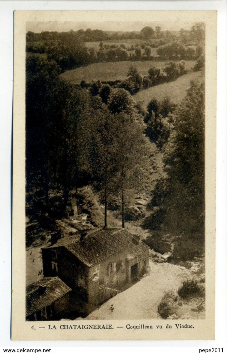 CPA 85 - LA CHATAIGNERAIE - Coquilleau Vu Du Viaduc - La Chataigneraie