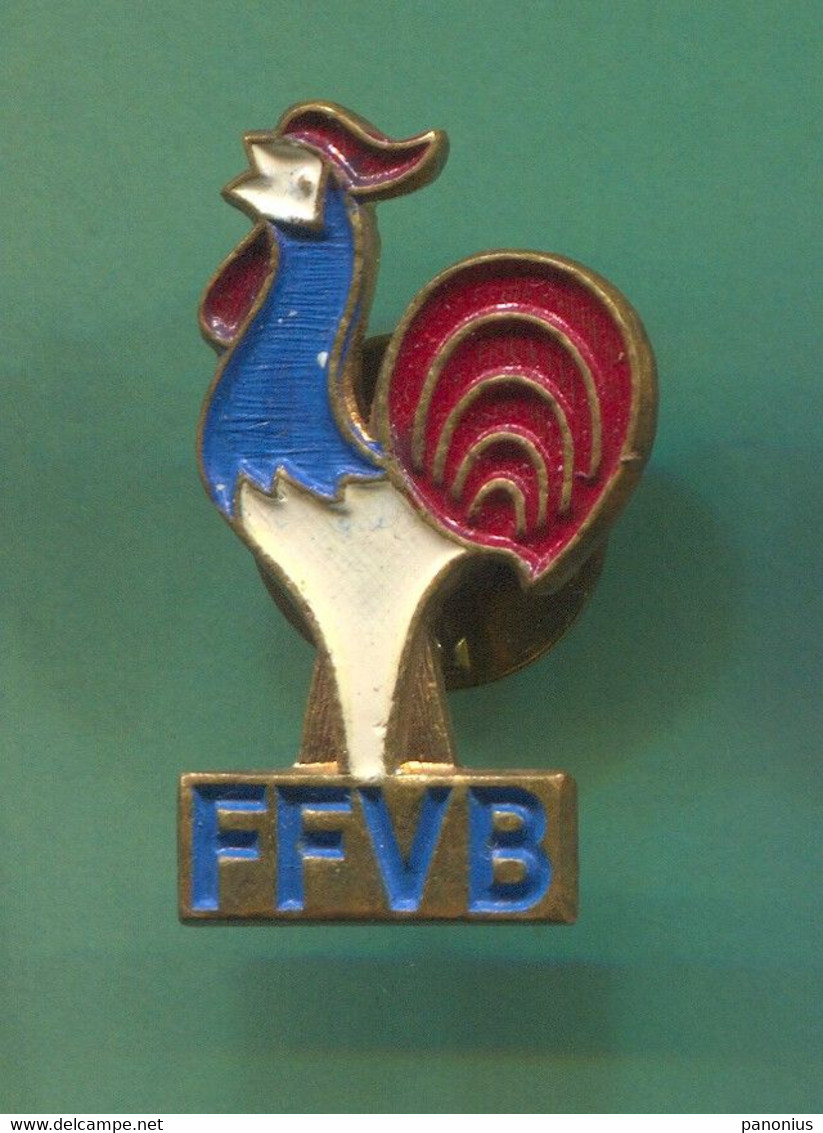 Volleyball Pallavolo - FFVB France Federation, Vintage Pin  Badge, Abzeichen - Pallavolo