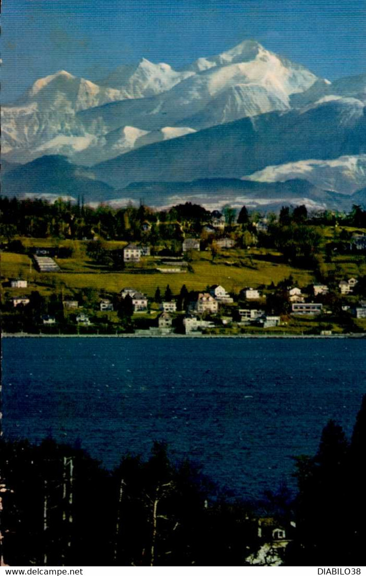 GENEVE      ( SUISSE )     LE MONT-BLANC ET LE COTEAU DE COLOGNY - Cologny