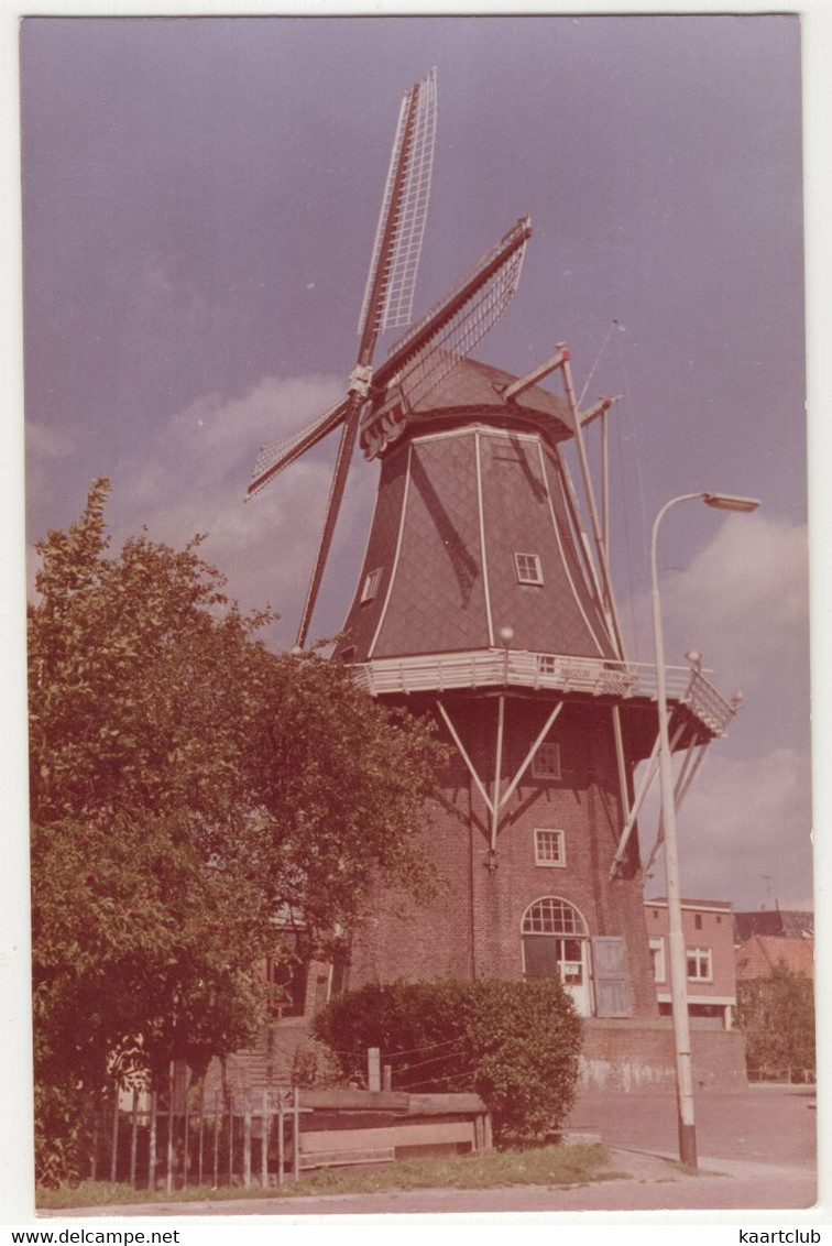 Delfzijl - Molen 'Adam' - (Groningen, Nederland/Holland) - Moulin/Molen/Mühle/Mill - FOTO 1968 - Delfzijl