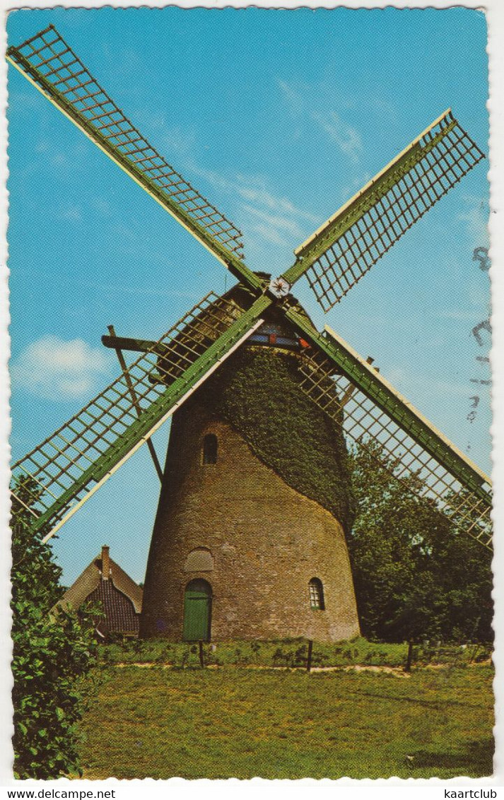 Schoorl - Oude Molen - (Nederland / Noord-Holland) - Moulin/Molen/Mühle/Mill - 1966 - Schoorl
