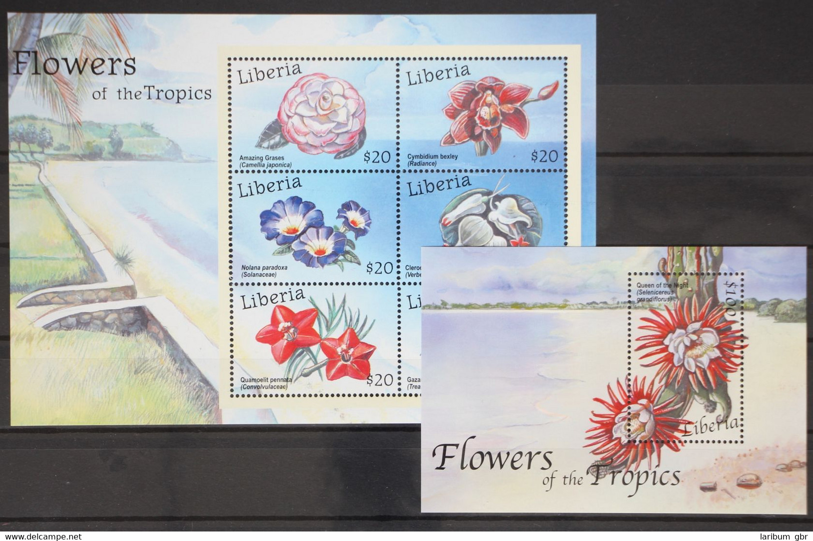 Liberia 4064-4069 Als Kleinbogen Und Block 412 Postfrisch Blumen #GD754 - Liberia