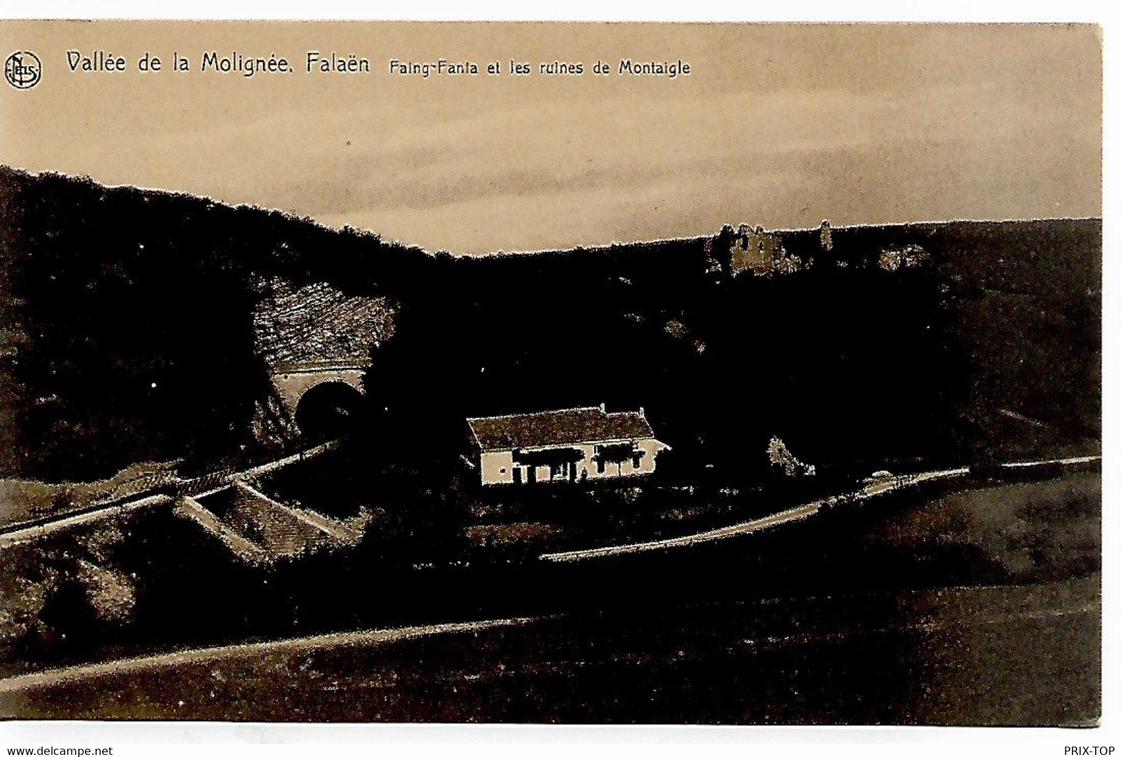 SP538/ CP-PK Vallée De La Molignée. Falaën Faing-Fanta Et Les Ruines De Montaigle MINT - Onhaye