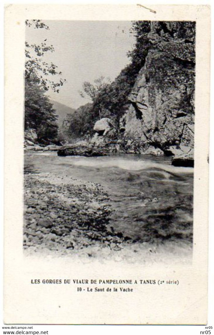 81 ( Tarn ) - Les Gorges Du Viaur De Pampelonne A Tanus - Le Saut De La Vache - Pampelonne