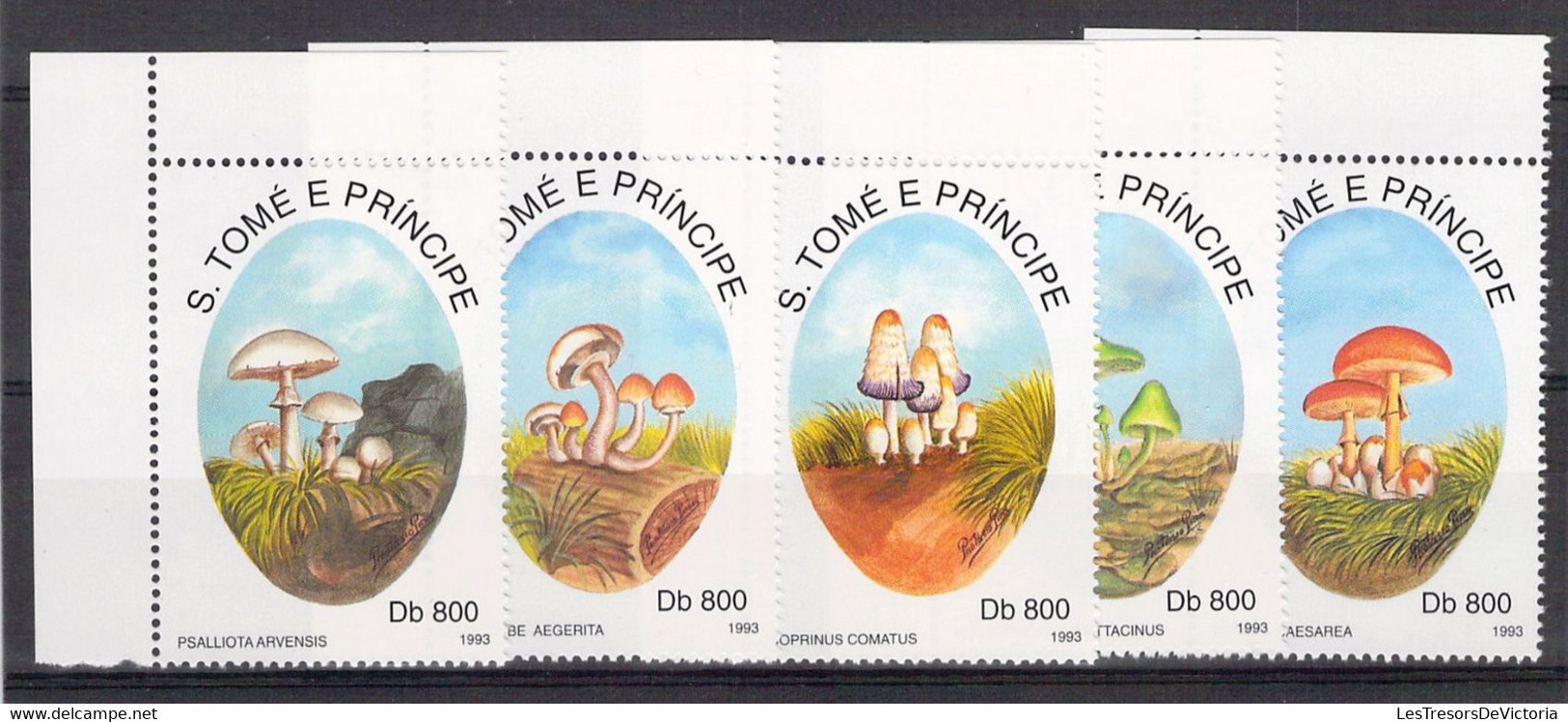 Lot Timbres Et Blocs Thème Champignon - Mushroom - S Tome E Principe - Hongos